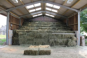 Stacking hay in the new barn