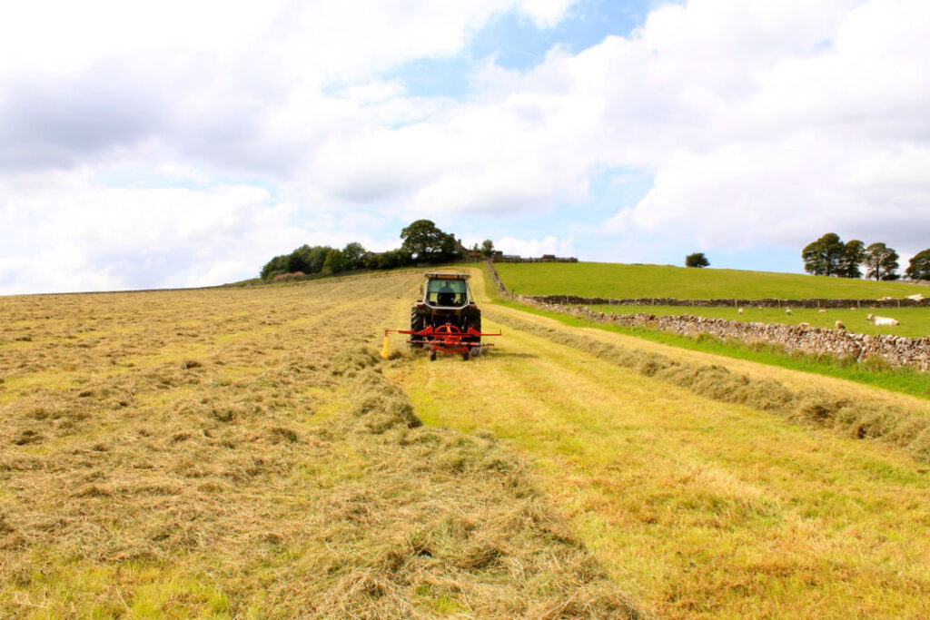 Haymaking-BEF